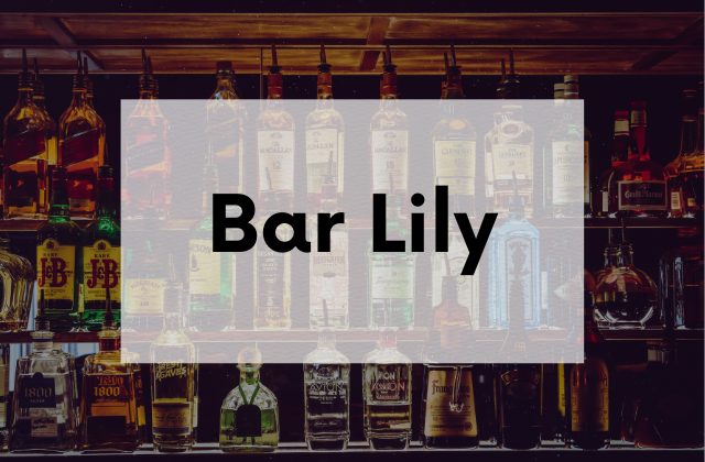 新橋のカラオケスナックBarLily